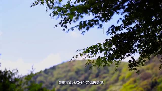 红烧鮰鱼怎样烧游戏画面